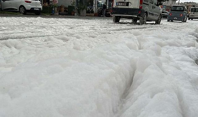 Bodrum'da merak uyandıran beyaz köpük!