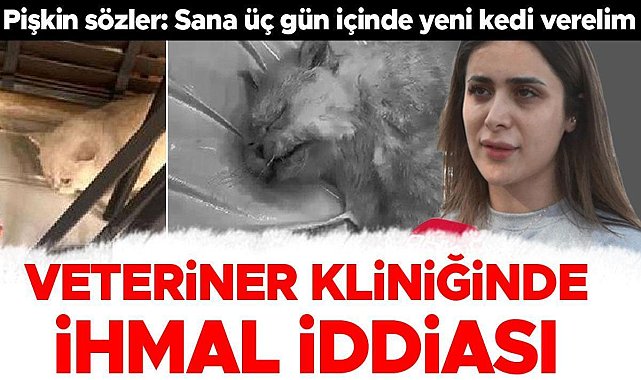 Veteriner Kliniğinde İhmal İddiaları: Şok Eden Teklif!