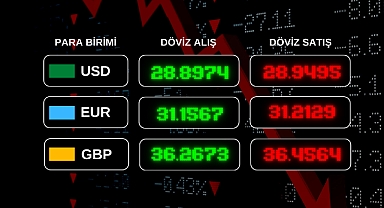 Güncel Döviz Kurları!