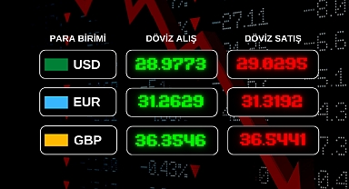 Güncel Döviz Kurları!