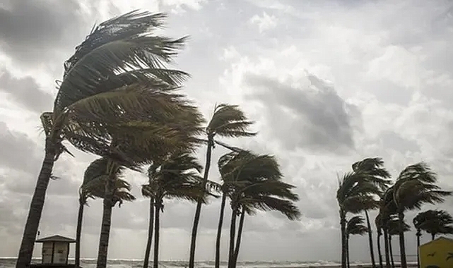 Hafta boyunca kuvvetli rüzgar bekleniyor!