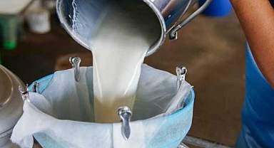 Süt bedelleri ödeniyor!